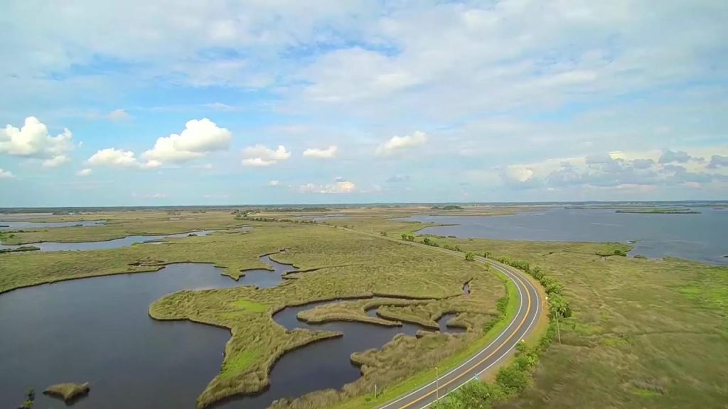 Crystal River, Florida - View