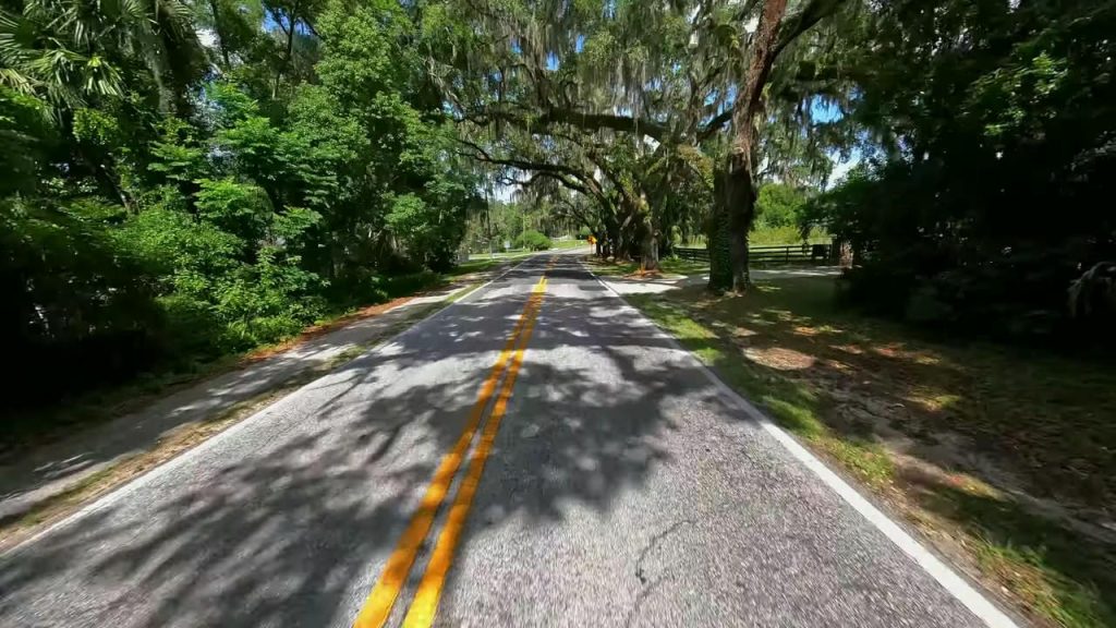 A great photo of Floral City, FL in Citrus