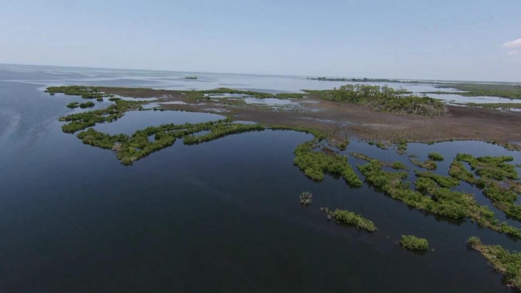 A great shot of Hernando Beach, FL in Hernando