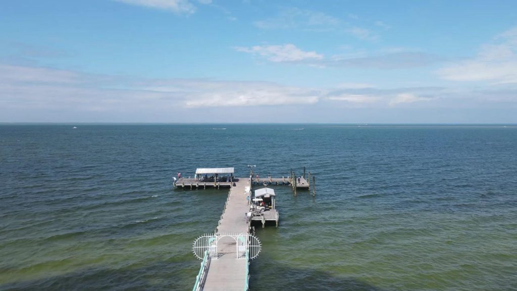 Pine Island, Hernando, Florida - View