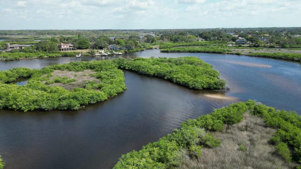 A great photo of Spring Lake, FL in Hernando