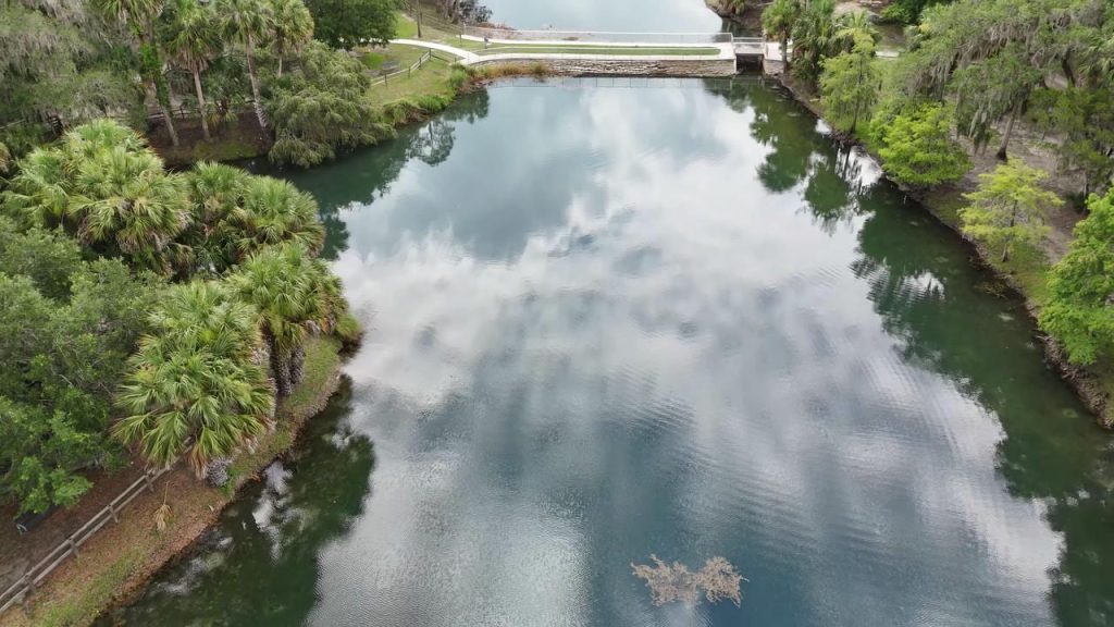 Spring Lake, Hernando, Florida - Photo