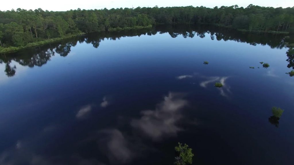 A beautiful shot of Trinity, FL in Pasco